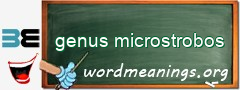 WordMeaning blackboard for genus microstrobos